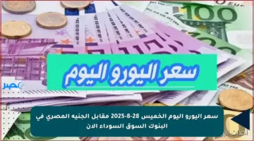 سعر اليورو اليوم الخميس 28-8-2025 مقابل الجنيه المصري في البنوك السوق السوداء الآن